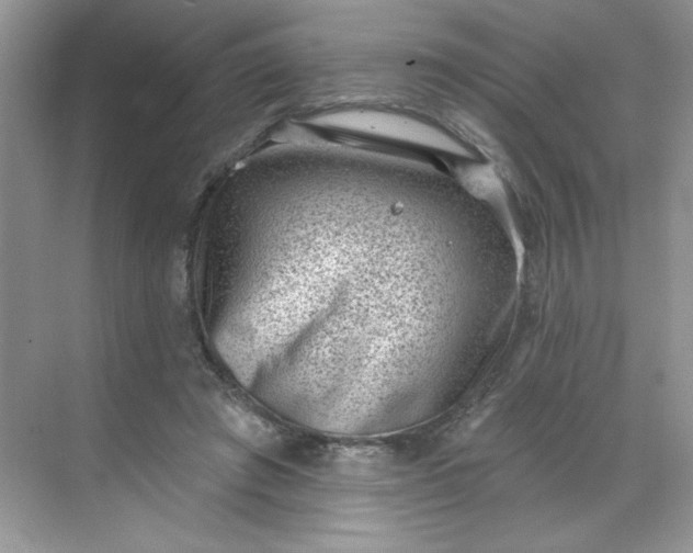 X0000068720401200605121457