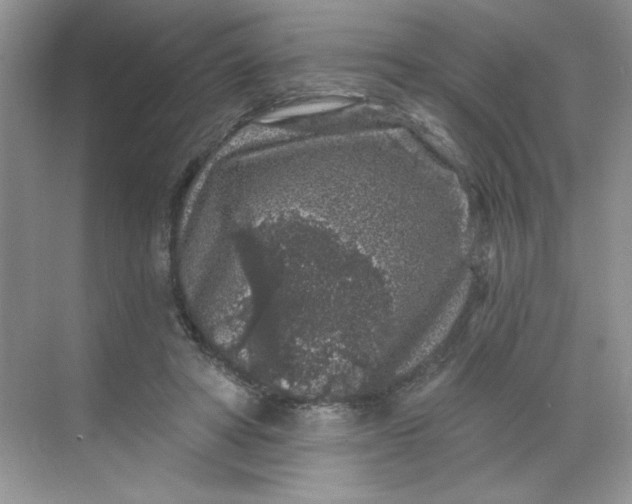 X0000068720402200605121457