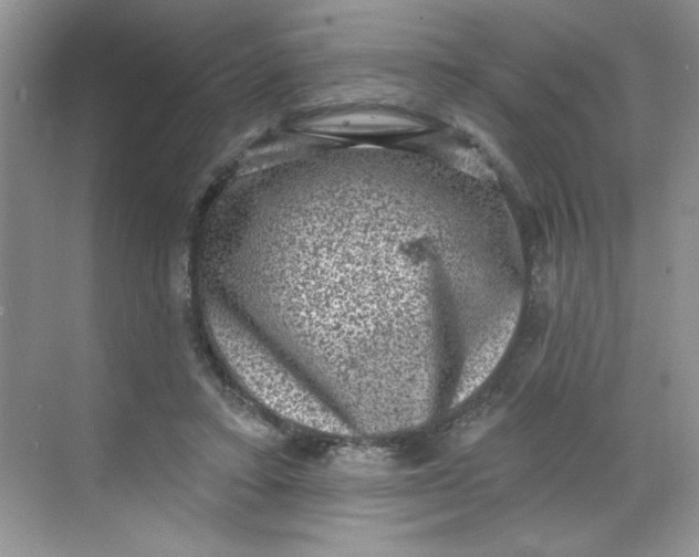 X0000068720403200605121457