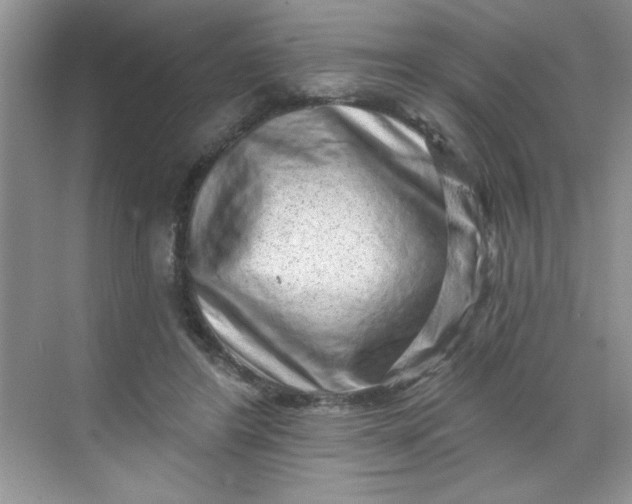 X0000068720404200605121457