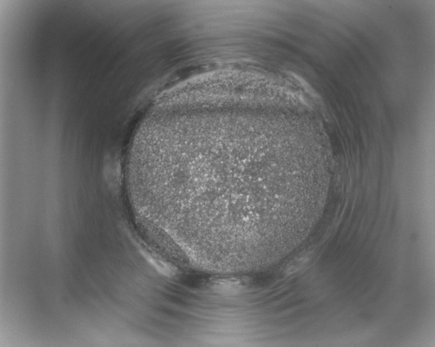 X0000068720405200605121457