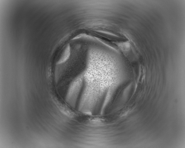 X0000068720407200605121457