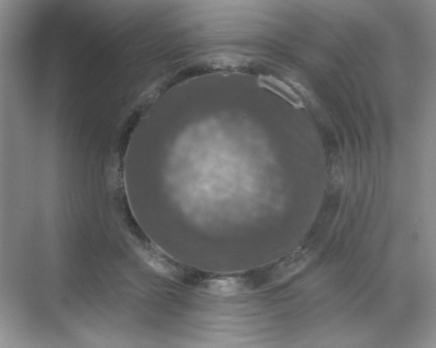 X0000068720411200605121457