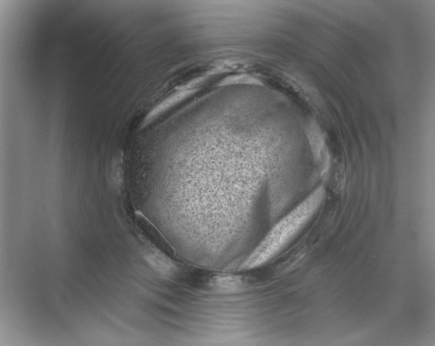 X0000068720413200605121457