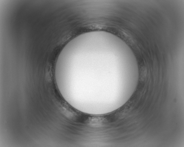 X0000068720414200605121457