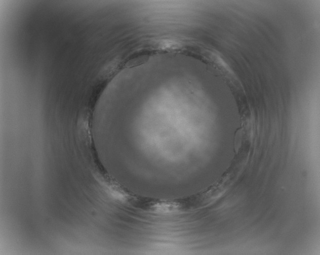 X0000068720415200605121457