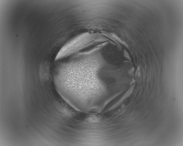 X0000068720416200605121457