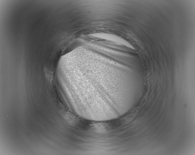 X0000068720417200605121457