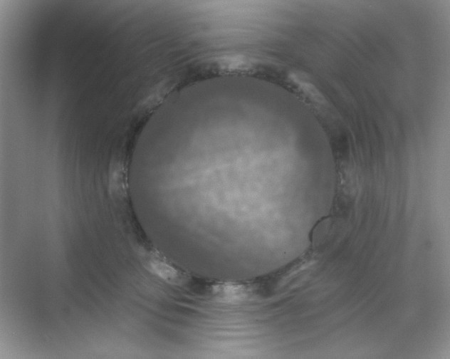 X0000068720419200605121457