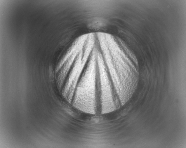 X0000068720420200605121457