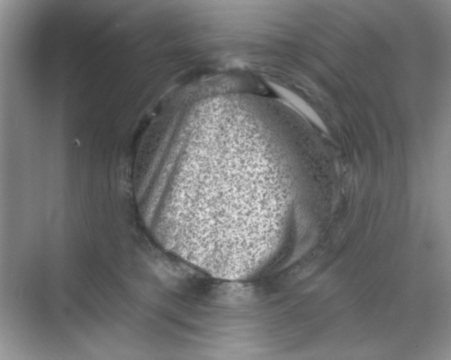 X0000068720421200605121457