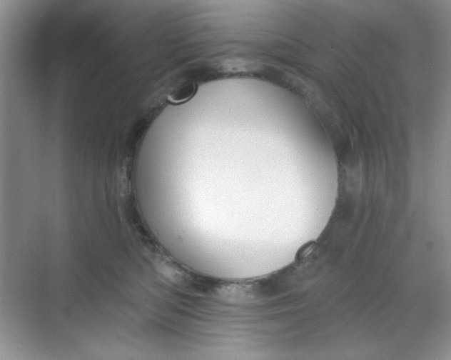 X0000068720422200605121457