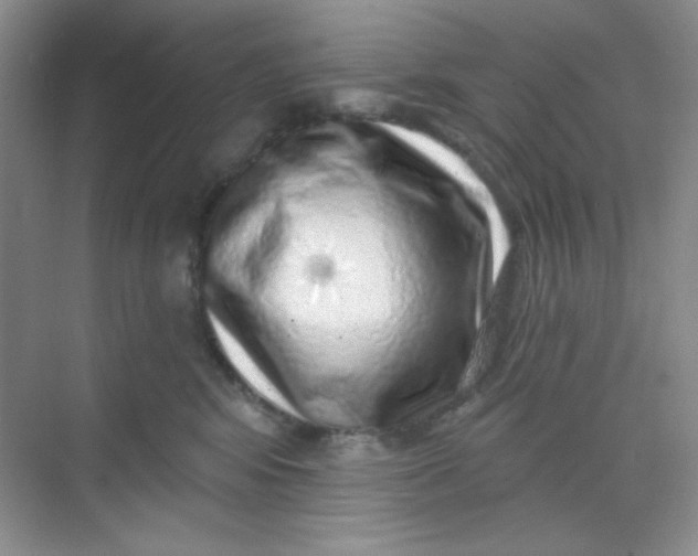 X0000068720424200605121457