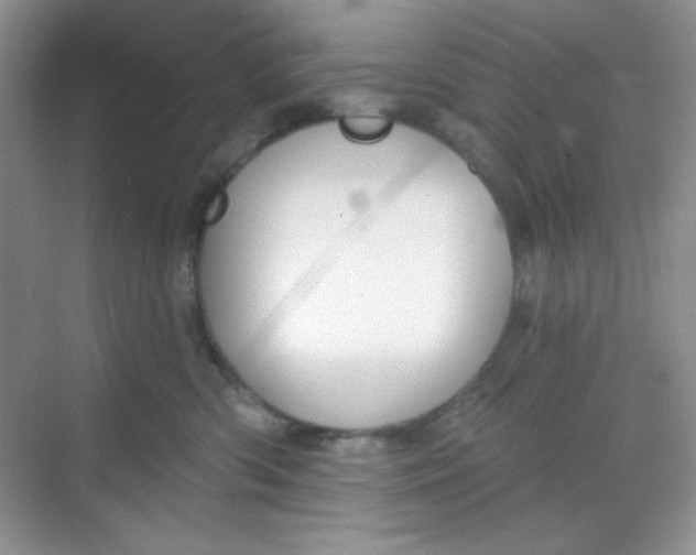 X0000068720426200605121457