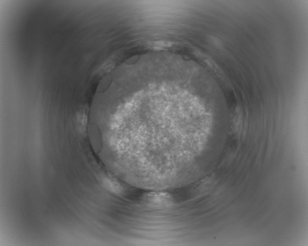 X0000068720427200605121457