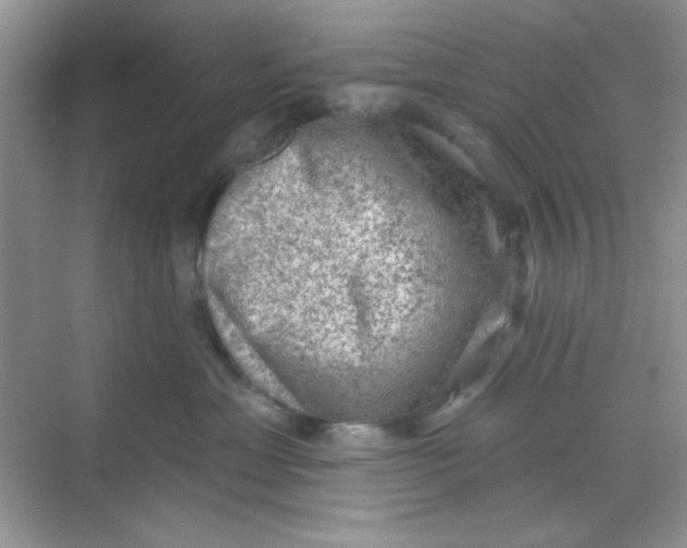 X0000068720429200605121457