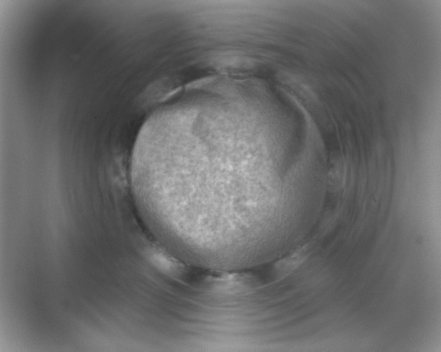 X0000068720430200605121457