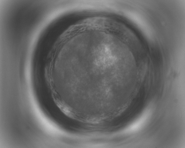 X0000068720431200605121457