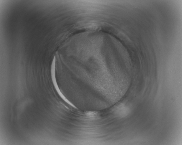 X0000068720432200605121457