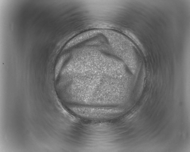 X0000068720433200605121456