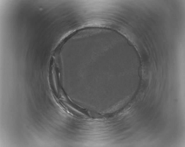 X0000068720434200605121456