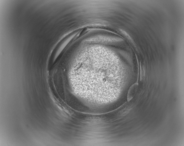 X0000068720435200605121456