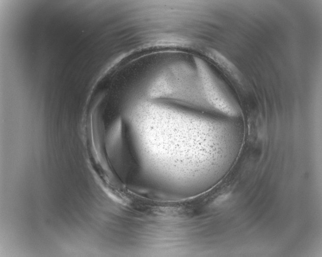 X0000068720436200605121456