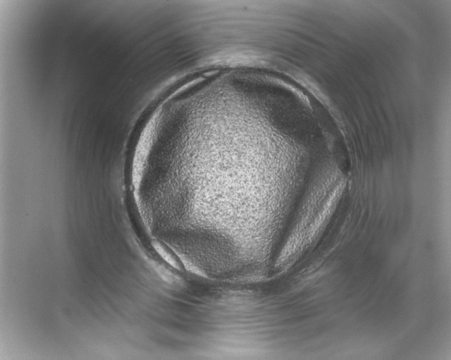 X0000068720438200605121456