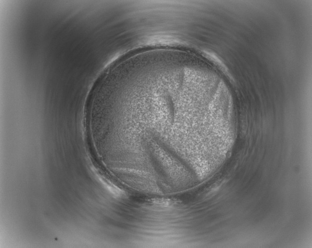 X0000068720439200605121456