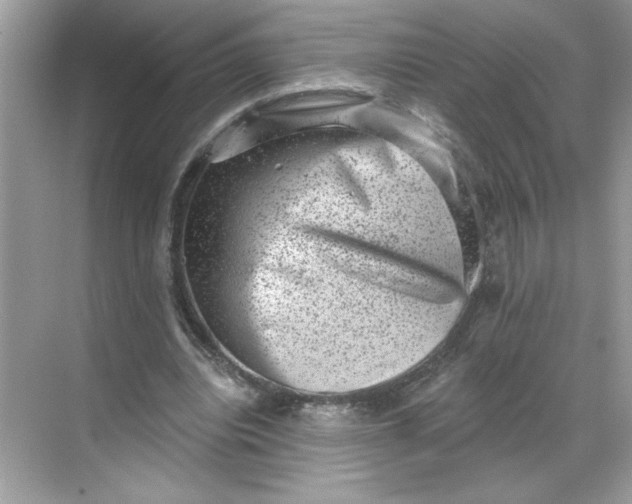 X0000068720440200605121456