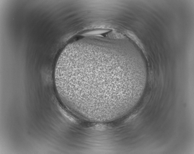 X0000068720441200605121456