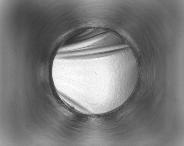 X0000068720442200605121456