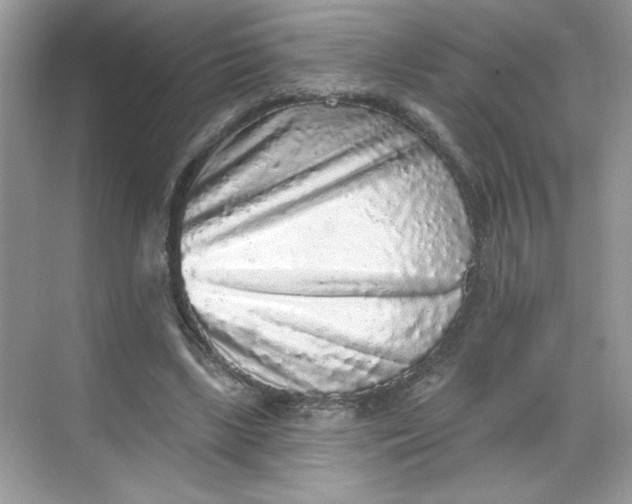 X0000068720443200605121456