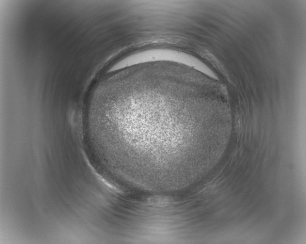 X0000068720444200605121456