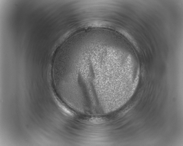 X0000068720445200605121456