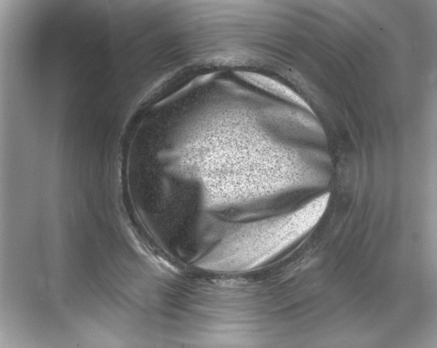 X0000068720446200605121456