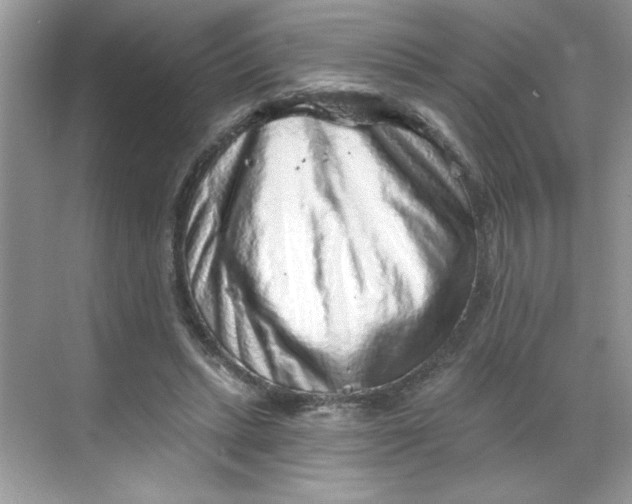 X0000068720447200605121456