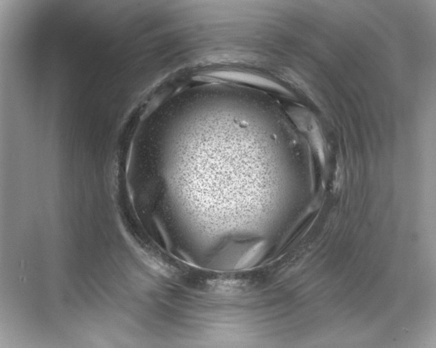 X0000068720448200605121456