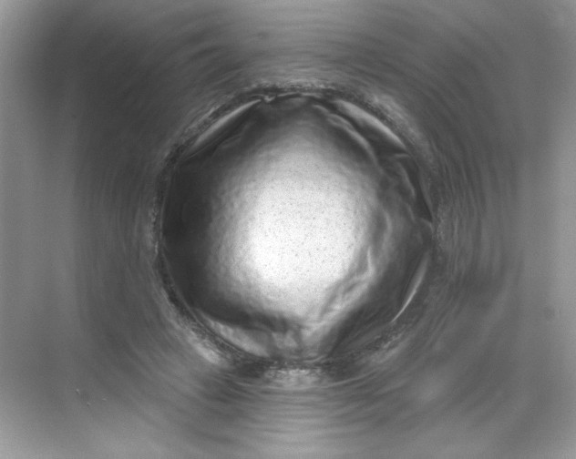 X0000068720449200605121456