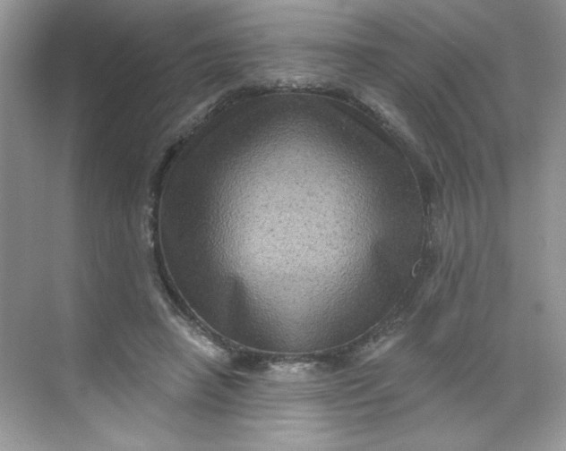 X0000068720450200605121456