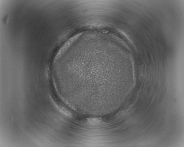 X0000068720451200605121456