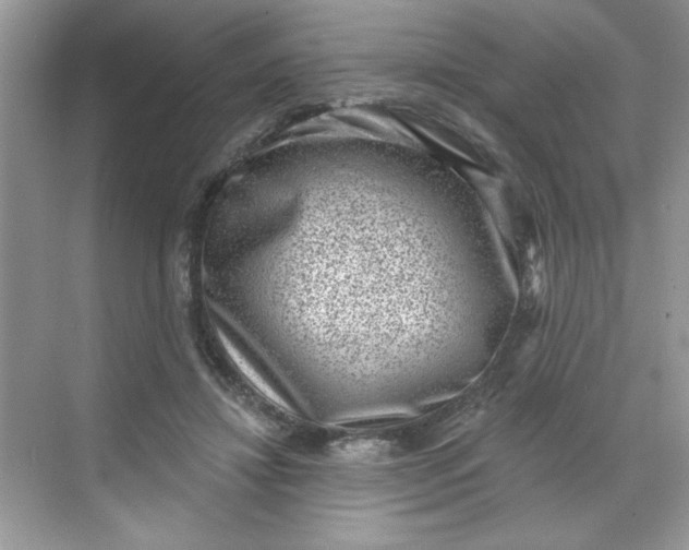 X0000068720452200605121456