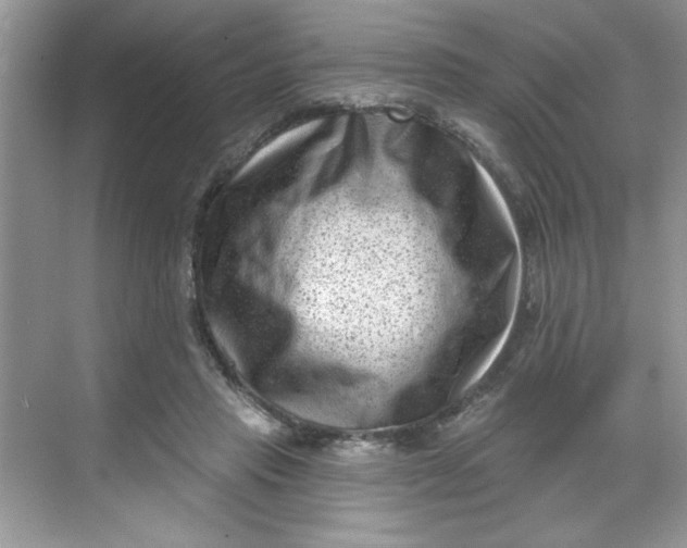 X0000068720453200605121456