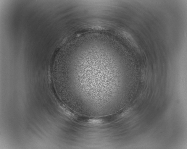 X0000068720457200605121456