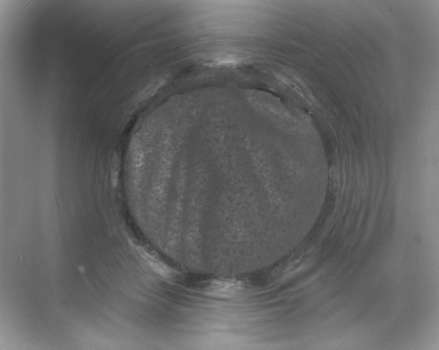 X0000068720458200605121456