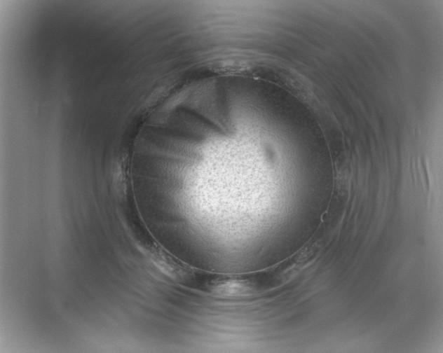 X0000068720460200605121456