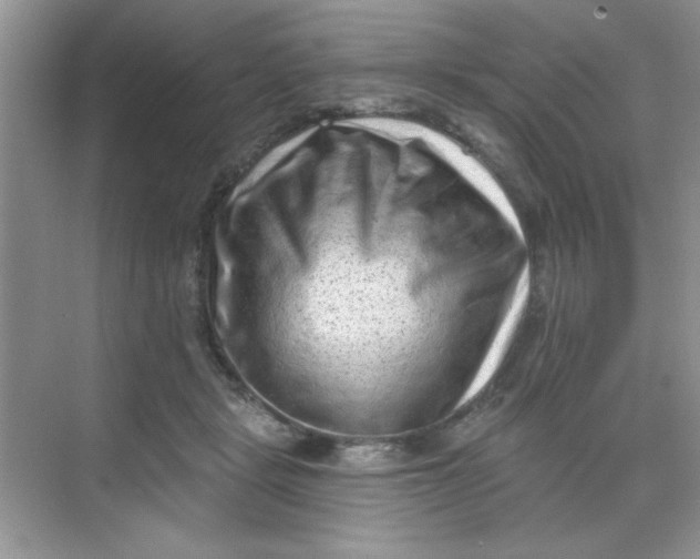 X0000068720461200605121456