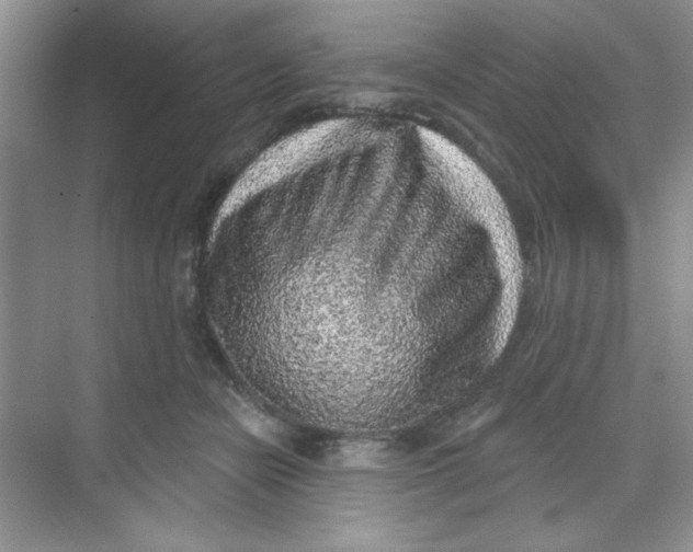 X0000068720462200605121456