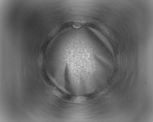 X0000068720463200605121456