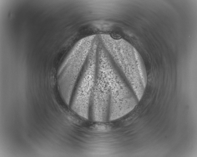 X0000068720464200605121456